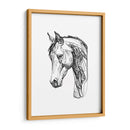 Contorno Equino Ii - Emma Scarvey | Cuadro decorativo de Canvas Lab