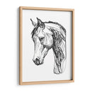 Contorno Equino Ii - Emma Scarvey | Cuadro decorativo de Canvas Lab