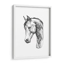 Contorno Equino Ii - Emma Scarvey | Cuadro decorativo de Canvas Lab