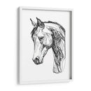 Contorno Equino Ii - Emma Scarvey | Cuadro decorativo de Canvas Lab