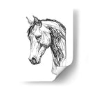 Contorno Equino Ii - Emma Scarvey | Cuadro decorativo de Canvas Lab