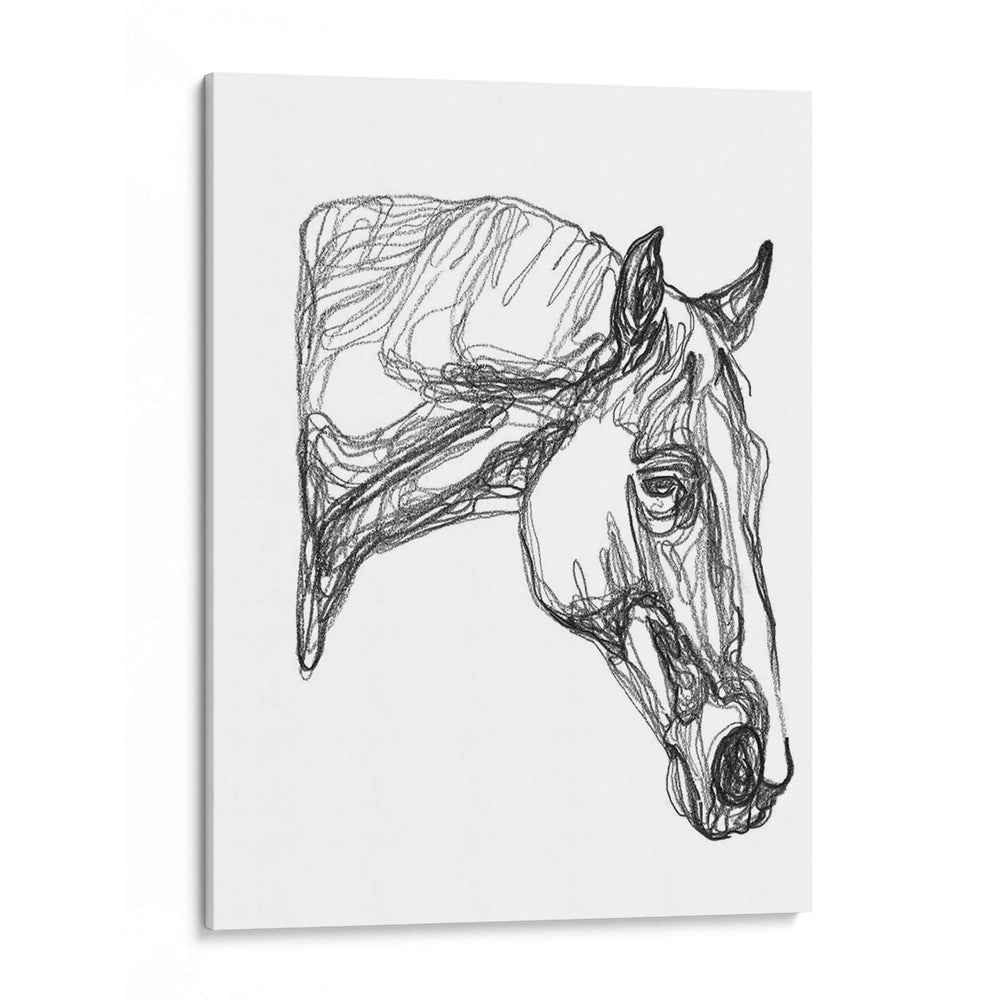 Contorno Equino Iii - Emma Scarvey | Cuadro decorativo de Canvas Lab