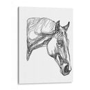 Contorno Equino Iii - Emma Scarvey | Cuadro decorativo de Canvas Lab