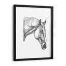 Contorno Equino Iii - Emma Scarvey | Cuadro decorativo de Canvas Lab