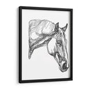 Contorno Equino Iii - Emma Scarvey | Cuadro decorativo de Canvas Lab