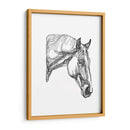 Contorno Equino Iii - Emma Scarvey | Cuadro decorativo de Canvas Lab