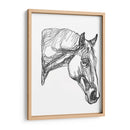 Contorno Equino Iii - Emma Scarvey | Cuadro decorativo de Canvas Lab