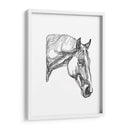 Contorno Equino Iii - Emma Scarvey | Cuadro decorativo de Canvas Lab