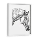 Contorno Equino Iii - Emma Scarvey | Cuadro decorativo de Canvas Lab