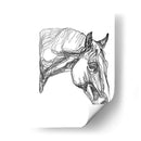 Contorno Equino Iii - Emma Scarvey | Cuadro decorativo de Canvas Lab