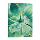 Verde Tropical Suculento I - Irena Orlov | Cuadro decorativo de Canvas Lab