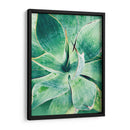Verde Tropical Suculento I - Irena Orlov | Cuadro decorativo de Canvas Lab