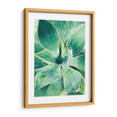 Verde Tropical Suculento I - Irena Orlov | Cuadro decorativo de Canvas Lab