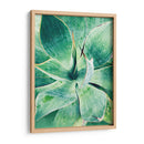 Verde Tropical Suculento I - Irena Orlov | Cuadro decorativo de Canvas Lab