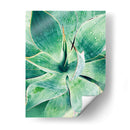 Verde Tropical Suculento I - Irena Orlov | Cuadro decorativo de Canvas Lab