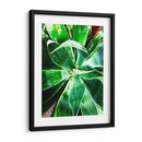 Verde Tropical Suculento Ii - Irena Orlov | Cuadro decorativo de Canvas Lab