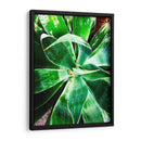 Verde Tropical Suculento Ii - Irena Orlov | Cuadro decorativo de Canvas Lab