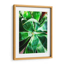 Verde Tropical Suculento Ii - Irena Orlov | Cuadro decorativo de Canvas Lab