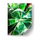 Verde Tropical Suculento Ii - Irena Orlov | Cuadro decorativo de Canvas Lab