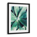 Suculento Tropical Verde Iii - Irena Orlov | Cuadro decorativo de Canvas Lab