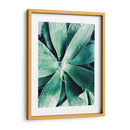 Suculento Tropical Verde Iii - Irena Orlov | Cuadro decorativo de Canvas Lab