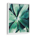 Suculento Tropical Verde Iii - Irena Orlov | Cuadro decorativo de Canvas Lab
