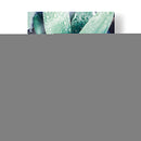 Suculento Tropical Verde Iii - Irena Orlov | Cuadro decorativo de Canvas Lab