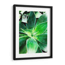 Verde Tropical Suculento Iv - Irena Orlov | Cuadro decorativo de Canvas Lab