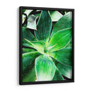 Verde Tropical Suculento Iv - Irena Orlov | Cuadro decorativo de Canvas Lab