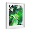 Verde Tropical Suculento Iv - Irena Orlov | Cuadro decorativo de Canvas Lab