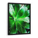 Verde Tropical Suculento V - Irena Orlov | Cuadro decorativo de Canvas Lab