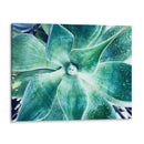 Verde Tropical Suculento Vii - Irena Orlov | Cuadro decorativo de Canvas Lab