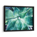 Verde Tropical Suculento Vii - Irena Orlov | Cuadro decorativo de Canvas Lab