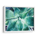 Verde Tropical Suculento Vii - Irena Orlov | Cuadro decorativo de Canvas Lab