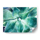 Verde Tropical Suculento Vii - Irena Orlov | Cuadro decorativo de Canvas Lab