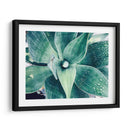 Verde Tropical Suculento Viii - Irena Orlov | Cuadro decorativo de Canvas Lab