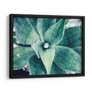 Verde Tropical Suculento Viii - Irena Orlov | Cuadro decorativo de Canvas Lab