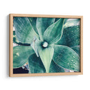 Verde Tropical Suculento Viii - Irena Orlov | Cuadro decorativo de Canvas Lab