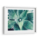 Verde Tropical Suculento Viii - Irena Orlov | Cuadro decorativo de Canvas Lab