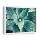 Verde Tropical Suculento Viii - Irena Orlov | Cuadro decorativo de Canvas Lab