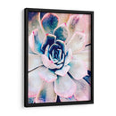 Belleza Suculenta Pastel Ii - Irena Orlov | Cuadro decorativo de Canvas Lab