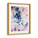 Belleza Suculenta Pastel Ii - Irena Orlov | Cuadro decorativo de Canvas Lab