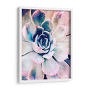 Belleza Suculenta Pastel Ii - Irena Orlov | Cuadro decorativo de Canvas Lab