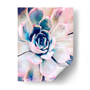 Belleza Suculenta Pastel Ii - Irena Orlov | Cuadro decorativo de Canvas Lab