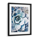 Belleza Suculenta Pastel Iii - Irena Orlov | Cuadro decorativo de Canvas Lab