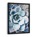 Belleza Suculenta Pastel Iii - Irena Orlov | Cuadro decorativo de Canvas Lab