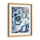 Belleza Suculenta Pastel Iii - Irena Orlov | Cuadro decorativo de Canvas Lab