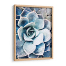 Belleza Suculenta Pastel Iii - Irena Orlov | Cuadro decorativo de Canvas Lab