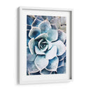 Belleza Suculenta Pastel Iii - Irena Orlov | Cuadro decorativo de Canvas Lab