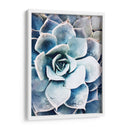 Belleza Suculenta Pastel Iii - Irena Orlov | Cuadro decorativo de Canvas Lab